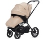 Прогулочная коляска Labala Raiz 
