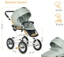 Коляска Indigo BARBARA Classic 2 в 1