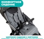 Прогулочная коляска Chicco Goody Plus