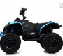 Детский электроквадроцикл Rivertoys BRP Can-Am Renegade (Y333YY) 