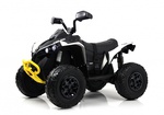 Детский электроквадроцикл Rivertoys BRP Can-Am Renegade (Y333YY) 