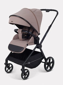 Прогулочная коляска Rant Moss RA323