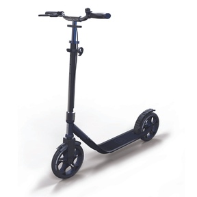 Двухколесный самокат Globber One NL 230 Ultimate