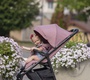 Прогулочная коляска CARRELLO Bravo CRL-8512 