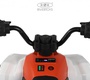 Детский электроквадроцикл Rivertoys М202БХ