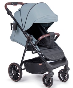 Прогулочная коляска Coletto Dizzi