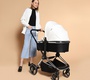 Коляска Labala Raiz 2 в 1