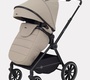 Прогулочная коляска Rant Moss 2025 RA323