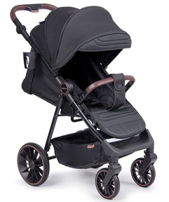 Прогулочная коляска Coletto Dizzi