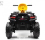 Детский электроквадроцикл Rivertoys T001TT 4WD