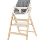 Стульчик для кормления Carrello Ergo 4в1 CRL-16701 