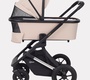 Коляска Rant AXIOM 2 в 1