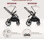 Детская коляска Farfello Belleza 3в1
