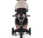 Трехколесный велосипед Kinderkraft Easytwist 