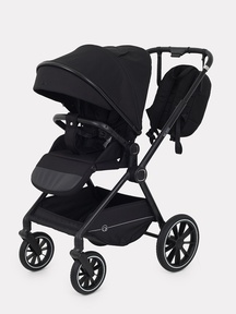 Прогулочная коляска Rant Moss RA323