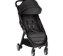 Прогулочная коляска Baby Jogger City Tour 2 