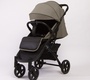 Прогулочная коляска Peppy Polo 2.0