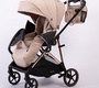 Прогулочная коляска Peppy Amici (реверсивное сидение)