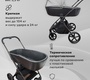 Коляска детская RANT TEO Black Chrome 2в1 RA122