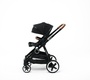Прогулочная коляска BabyZz Dynasty 