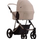 Детская коляска Bebetto PELPASSO PRO 2в1