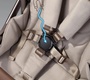 Коляска AmaroBaby Motus Premium Ecco Exclusive 2в1
