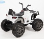 Электроквадроцикл BARTY Grizzly Т001МР