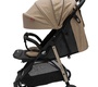 Прогулочная коляска Everflo Shine