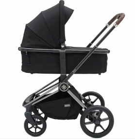 Коляска Labala Raiz 2 в 1