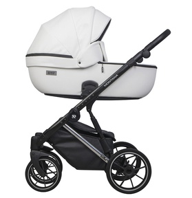Детская коляска Riko Basic Montana Premium Silver 2 в 1