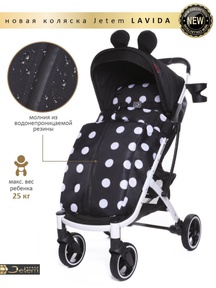 Коляска прогулочная Jetem Lavida New 