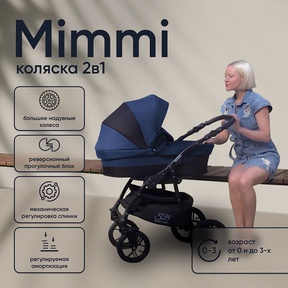 Коляска детская Sweet Baby Mimmi 2 в 1