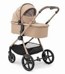 Коляска Agex Life 2026 2в1