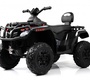 Детский электроквадроцикл Rivertoys T001TT 4WD