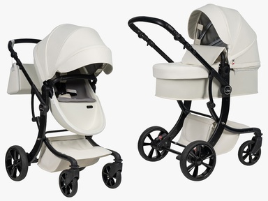 Коляска Aimile Spring трансформер 2 в 1