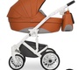 Детская коляска Expander Xenon 2 в 1