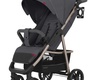 Прогулочная коляска CARRELLO Echo CRL-8508 2022