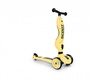 Детский трехколесный самокат с сиденьем Scoot&Ride HighwayKick 1 (Seat)