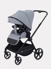 Прогулочная коляска Rant Moss RA323