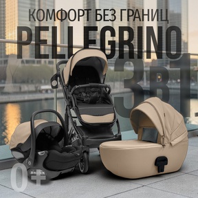Коляска BubaGO Pellegrino 3в1