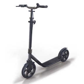 Двухколесный самокат Globber One NL 230 Ultimate