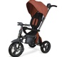 Трёхколёсный велосипед Nuovita Bamzione BE1