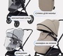 Коляска детская RANT MOSS 2025 (2в1) RA321