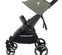 Прогулочная коляска для двойни Rant Biplane Trends