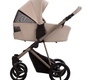 Детская коляска Bebetto PELPASSO PRO 2в1
