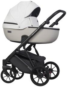 Детская коляска Riko Basic Montana X Ecco 3в1