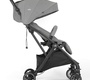 Прогулочная коляска Joie Tourist