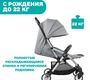 Прогулочная коляска Chicco Goody Plus