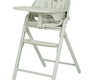 Стульчик для кормления Carrello Tenero CRL-9507 3в1