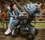 Прогулочная коляска Babyhit Sense Plus с перекидной ручкой